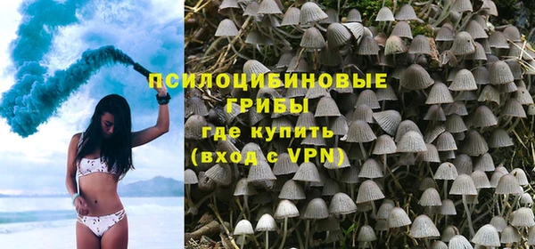 mdpv Бородино