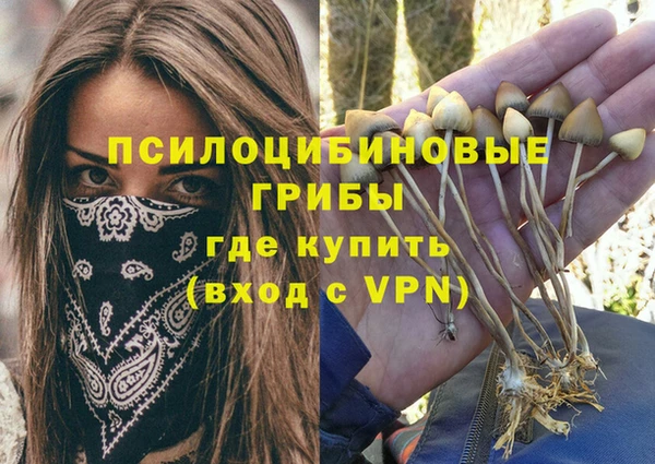 гашик Бронницы