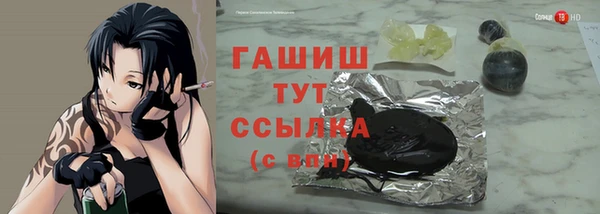 mdpv Бородино