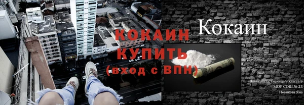 mdpv Бородино