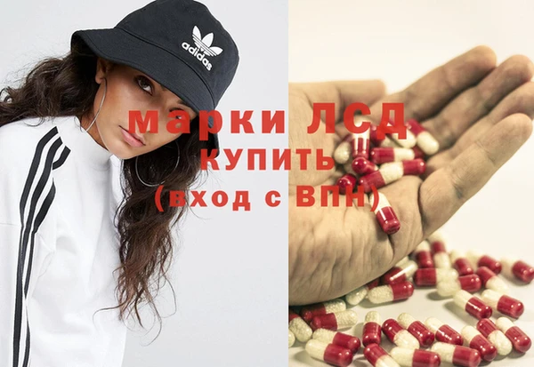 mdpv Бородино