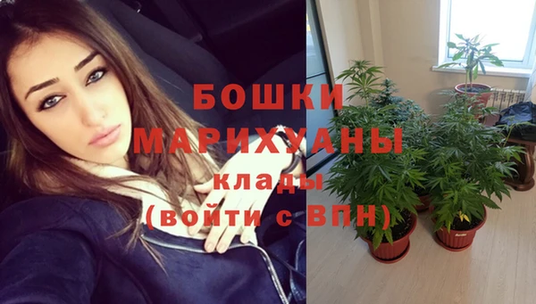 гашик Бронницы