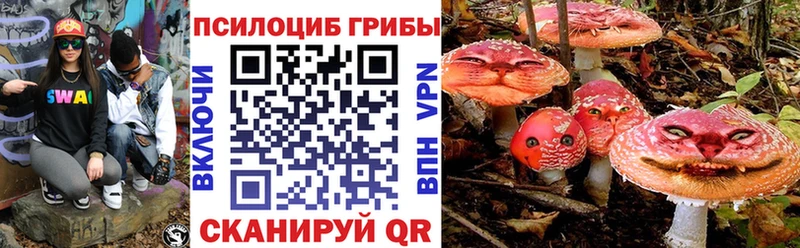 цены   МЕГА зеркало  Псилоцибиновые грибы ЛСД  Гороховец 